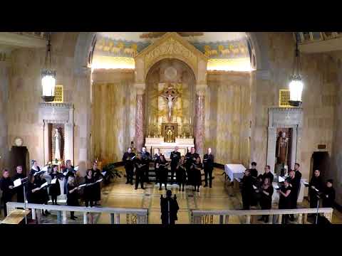 Giovanni Gabrieli: Plaudite omnis terra Thumbnail