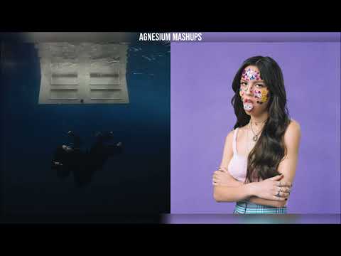 WILDFLOWER X DRIVER'S LICENSE - Billie Eilish x Olivia Rodrigo (Mashup)