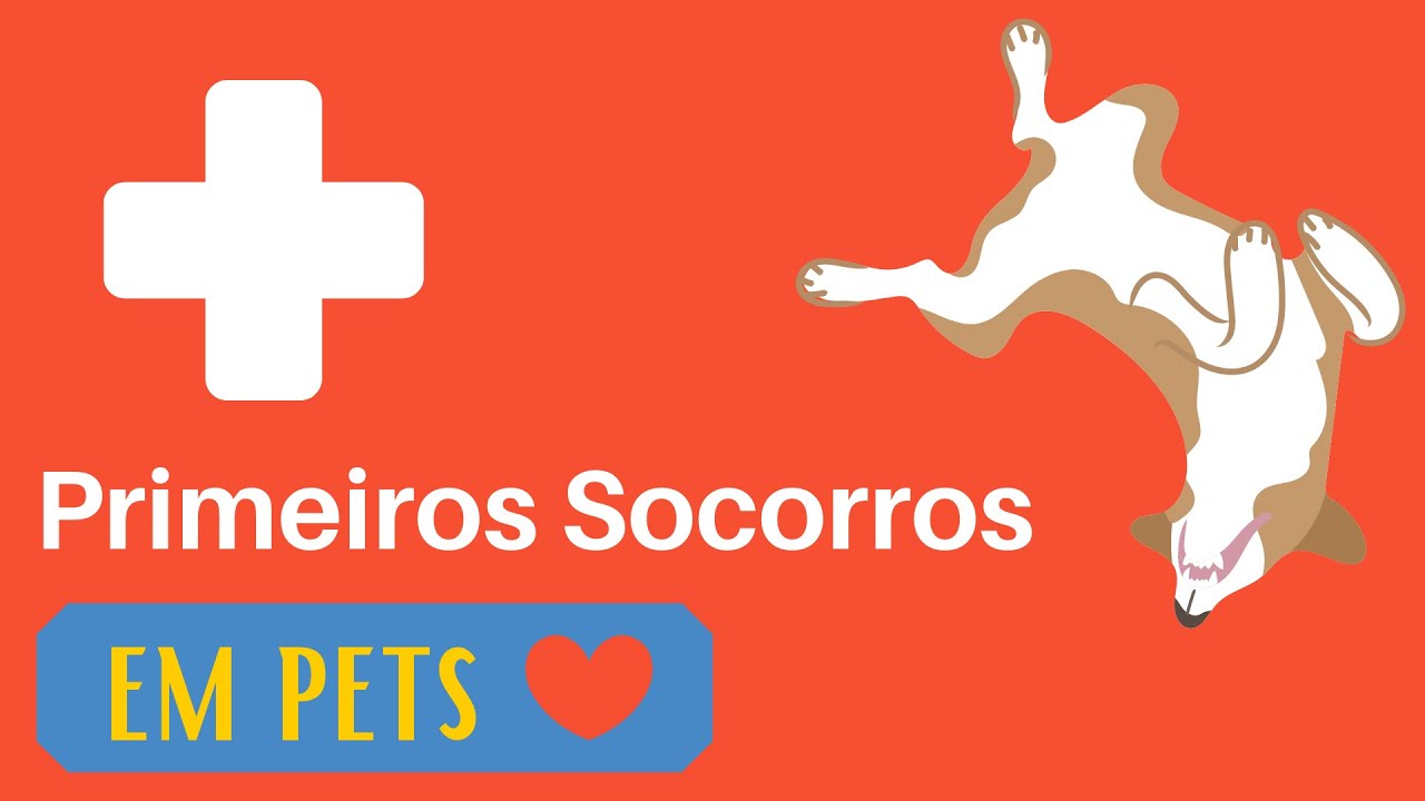 Primeiros Socorros em Pets - Parada Cardiorrespiratória e Choque