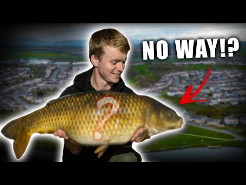 I Caught THE BIGGEST FISH In The Lake!