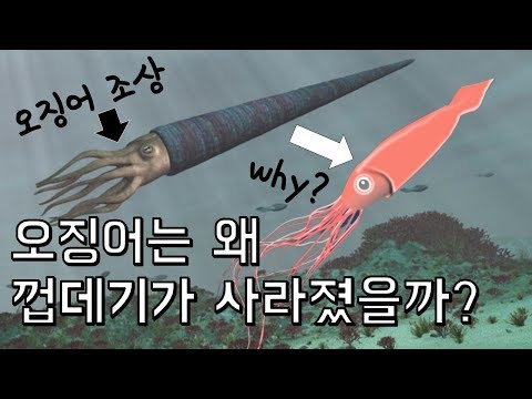 , title : '오징어의 껍데기는 왜 사라졌을까? (feat. 두족류)'
