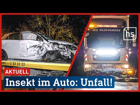 Insekt im Auto: Fahrerin fährt in den Gegenverkehr | hessenschau