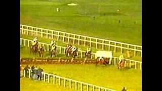 Ladbroke Hurdle Leopardstown Memories
