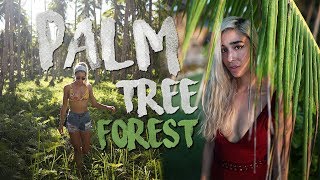 PALM TREE FOREST IN SIARGAO