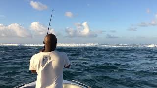 Mauritius Fishing