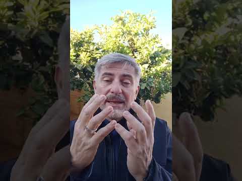Evangelio del Nuestro Señor Jesucristo Con el Padre Fabian Esteban Oliva. Segunda Parte. 29/05/26