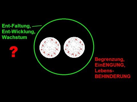AHA ! Faule Kompromisse, echte Kompromisse, LebensBEHINDERUNG, LebensENTFALTUNG, Freude und Leid