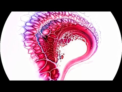 #54. A Stunning Minimalistic Abstract Swipe  ~ Sheleeart