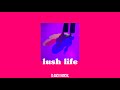 zara larsson - lush life (slowed + reverb)
