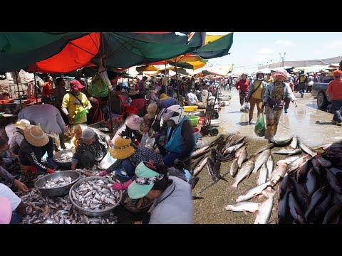 Daily Activities & Lifestyle of Vendors Selling Alive Fish, Dry Fish & Seafood - Fish Market Show