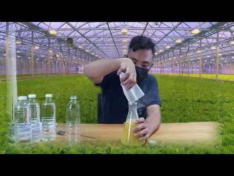How to make stock solution using hydroponic formula 5-11-26