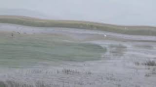 Nana Mouskouri, The Bonnie Banks Of Loch Lomond, Lyrics below