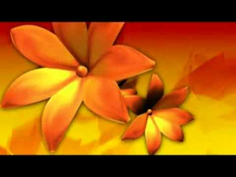 Të parët që hyjnë në Xhenet - Dr. Shefqet Krasniqi