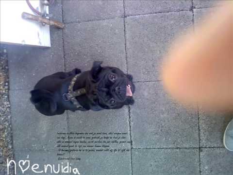 Bo ta keda den mi kurason