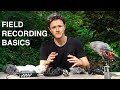 Field Recording For Beginners Essential GEAR TIPS