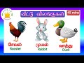 தமிழரசி வீட்டு விலங்குகள் Learn Farm Animal Names In T