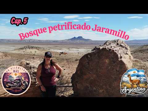 VIAJE A LA PATAGONIA ARGENTINA - CAPITULO 5: BOSQUE PETRIFICADO JARAMILLO