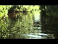 Niño Santo Promo 1