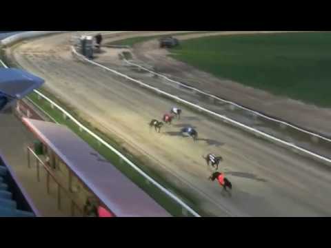 2017 WILLIAM HILL PETERBOROUGH DERBY - 1ST SEMI - T5 VIKING JIMMY