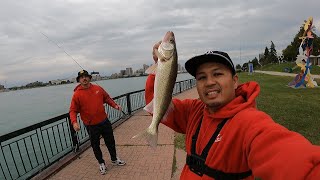 Start of the FALL WALLEYE season - Detroit River Fishing