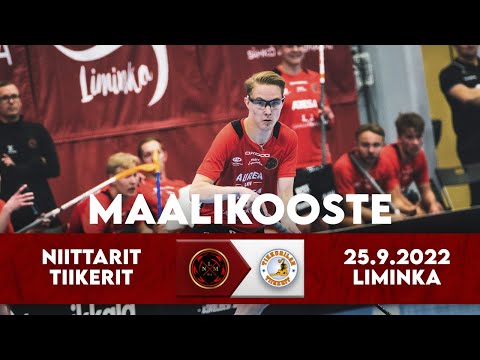 Maalikooste LNM - Tiikerit 25.9.2022