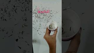 DIY party popper using balloon|#diysimple