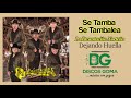 La Devastación Norteña Se Tamba Se Tambalea Audio Oficial