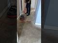 Carpet Cleaning Rental Properties