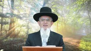דרך השם רמח"ל I חלק ב - פרק 4, ישראל ואומות העולם I הרה"ג יוסף הללויה שליט"א I שיעור 95