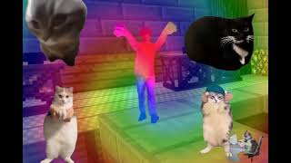 #猫ミーム【音MAD】 あの賑やかな天ぷらは今どこに