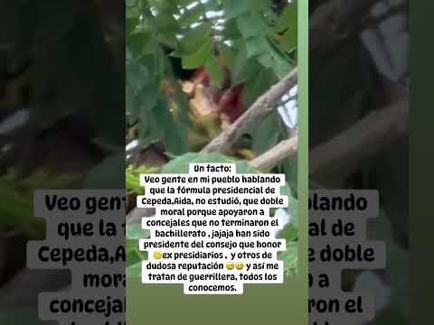 Municipio Pueblo Nuevo, Córdoba 🤔