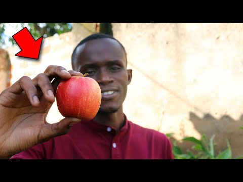 , title : 'BUSINESS EN AFRIQUE : Faire le commerce des fruits'