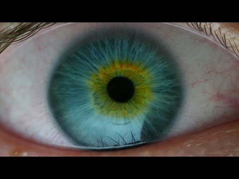 Thumbnail of the video: I AM THE DOORWAY - Official Trailer (2017)