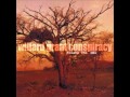 Willard Grant Conspiracy - Twistification 