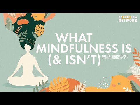 What Mindfulness Is (& Isn't) - Joseph Goldstein's Insight Hour Ep. 113