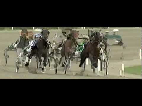 Preis des Winterfavoriten 2012_Rapido Ok 1:15,3_Josef Franzl jun.