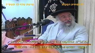 מרן רבנו עובדיה יוסף זצוק"ל זיע"א פרשת שלח לך תשס"ז הלכות שבת המקדם הגאון הרב שמעון בלוקה שליט"א (דר וסוחרת - הלוויין של מרן) - התמונה מוצגת ישירות מתוך אתר האינטרנט יוטיוב. זכויות היוצרים בתמונה שייכות ליוצרה. קישור קרדיט למקור התוכן נמצא בתוך דף הסרטון מרן רבנו עובדיה יוסף זצוק"ל זיע"א פרשת שלח לך תשס"ז הלכות שבת המקדם הגאון הרב שמעון בלוקה שליט"א (דר וסוחרת - הלוויין של מרן) - התמונה מוצגת ישירות מתוך אתר האינטרנט יוטיוב. זכויות היוצרים בתמונה שייכות ליוצרה. קישור קרדיט למקור התוכן נמצא בתוך דף הסרטון