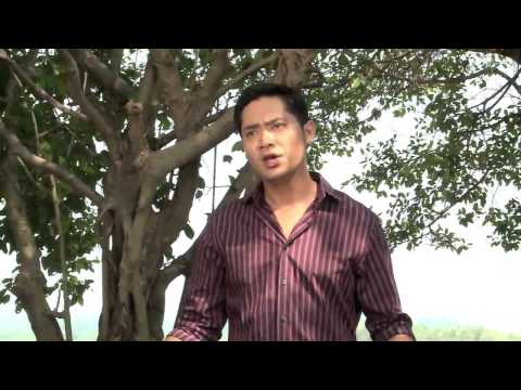 Đám cưới người ta - Minh Luân