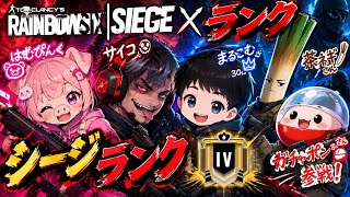 #シージX  #フルパ
