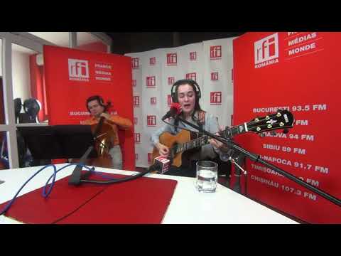 RFI360: Elven Bird - Woodelves