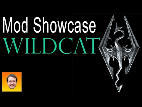 WILDCAT COMBAT MOD - Skyrim Mod Showcase. Go BEYOND Legendary Difficulty!