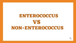 Enterococcus VS Non-Enterococcus (S. bovis or S. gallolyticus)