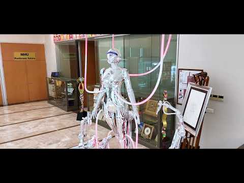 INTRODUCTORY VIDEOS