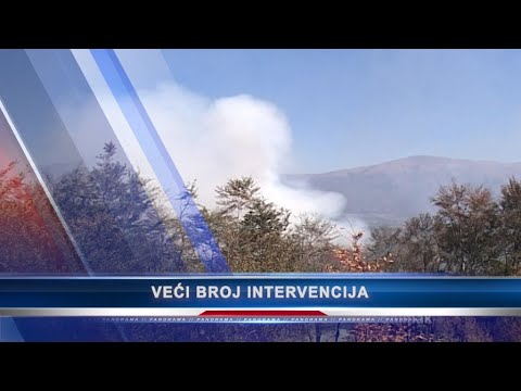 Panorama 16.08.2021. | TV Leskovac