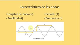 Fonoaudiología (Parte 1) - Profundizaciones