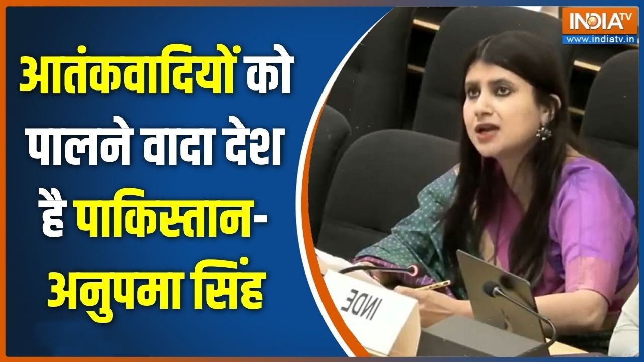 India on Pakistan in UN: आतंकवादियों को पालने वादा देश है पाकिस्तान-