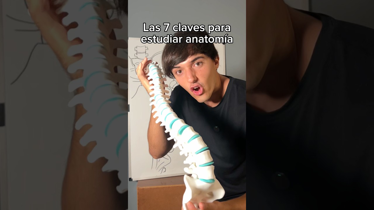 How to study anatomy #anatomy #physiotherapy