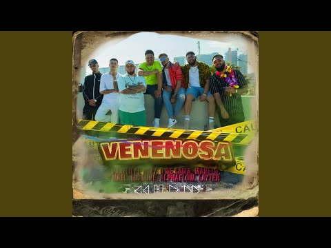 Venenosa (feat. Mc Mine, Nael, Alpha Flow, Layter)