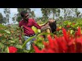 Kichu Kotha jayena bola | Bengali Romantic Song | @Shrabanti.Dipankar #video #dance