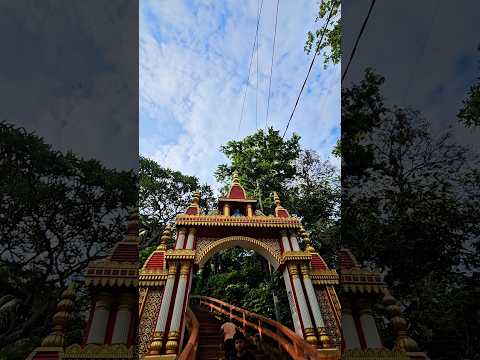 Explore Diary of Sujoy – Travel shorts #8 #reels #nature #viral #cinematography